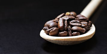 中档茶叶品牌排行榜，品质与口感的完美结合