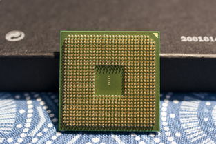 电脑的CPU哪个品牌好？深度解析各大品牌CPU优劣，助你选购不迷路