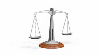 揭秘身高体脂测量仪器品牌，选购指南与实用案例分享