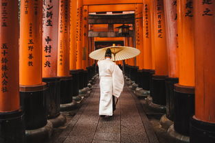 日本衣服旗袍品牌概览