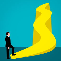中国坚果品牌的崛起之路，成功案例与深度解析