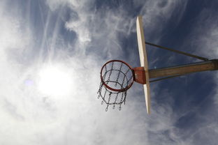 NBA玩具品牌，玩转篮球，乐在童年