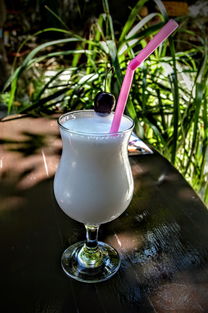 中餐厅蚝油品牌排名榜