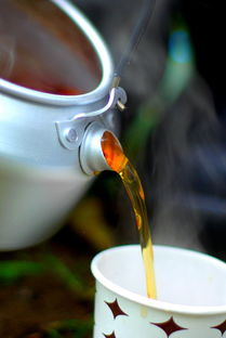 中国茶叶品牌大盘点，热门茶叶品牌一网打尽