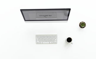 揭秘空气净化器品牌718，你的健康呼吸守护者