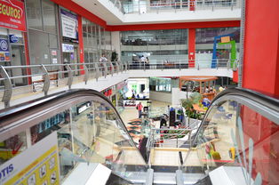 遂平中餐加盟品牌店在哪里