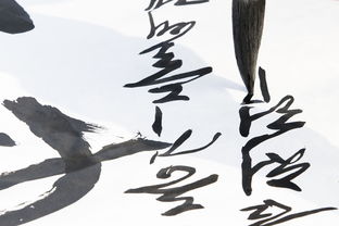 揭秘菏泽书法艺考集训品牌，打造书法艺术家的摇篮