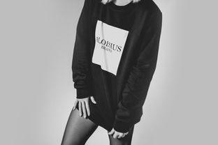 国内女式品牌西服，时尚与品质的完美融合