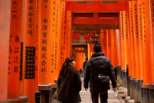 探索中国旗袍的奢华之旅