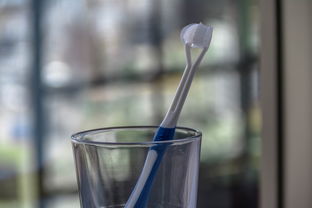 揭秘椰子油漱口水的品牌，口腔护理新宠儿！
