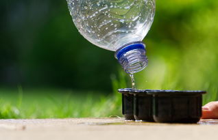 夏日炎炎，这些香水水杯让你清凉一夏！