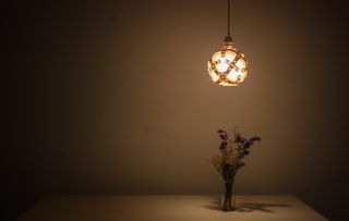 品牌灯具任你选购—点亮您的家居生活