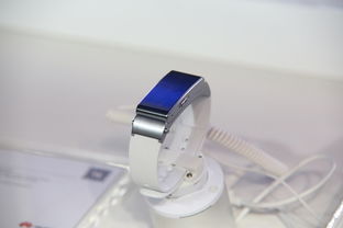 塑料大铲子工具有哪些品牌？来聊聊那些好用的铲类工具