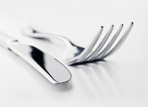 铲子不锈钢食品级品牌解析