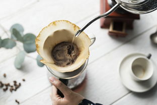 泰安奶茶品牌大盘点