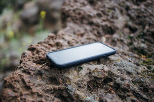 iPhone品牌相机，技术与艺术的完美结合