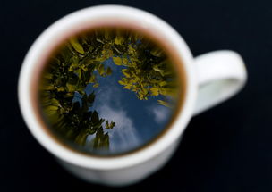 品牌茶叶公司的故事，从茶园到茶杯的旅程