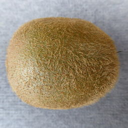 竹铲子品牌排行榜前十名，你了解几个？