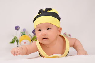 新生儿奶嘴品牌大解析，哪个品牌更适合你的宝贝？
