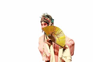 白菜汉服，传统与时尚的完美结合