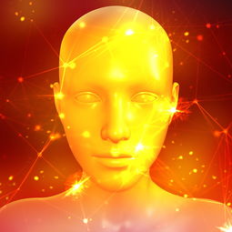 人形机器人品牌大盘点，谁才是你的未来伙伴？