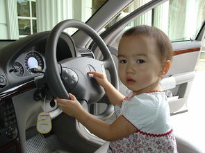 儿童车都有什么品牌的车？一文带你了解各大品牌及其特色
