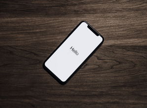 Windows Phone手机品牌概览