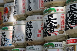 探索尼塔尿不湿—来自日本的全球品牌