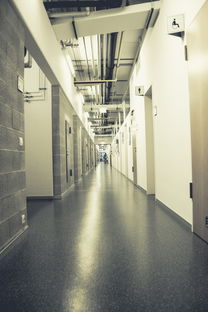 辽宁学校塑胶地板品牌推荐及案例分析