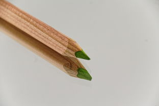 竹子绘画铅笔推荐品牌大解析