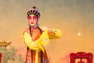 女士高档旗袍品牌—传统与现代的完美融合