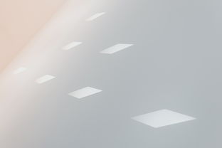 墙面刮白用哪些品牌？一篇文章带你了解